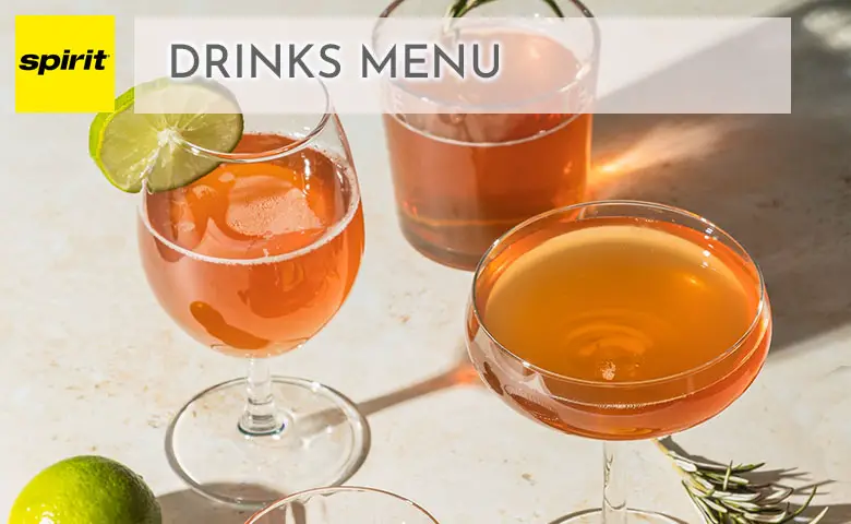 Spirit Airlines Drinks Menu Prices 2024