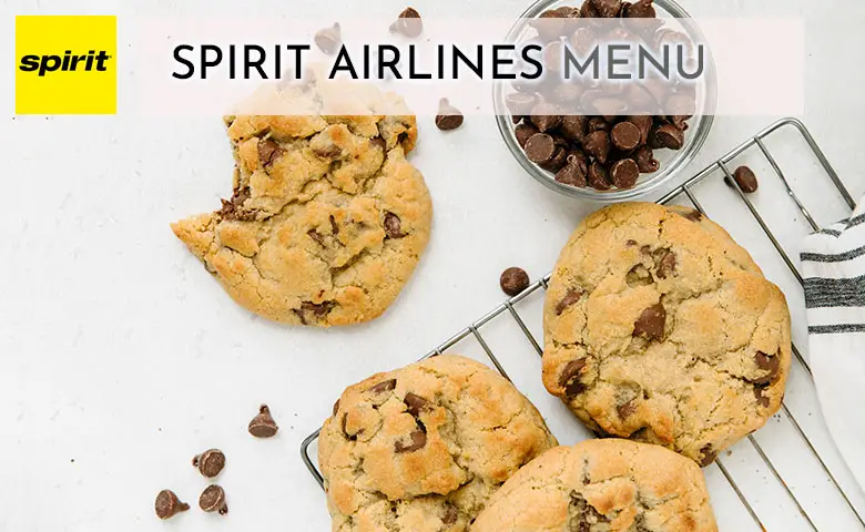 Spirit Airlines Menu Prices 2024
